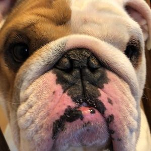 Meet your Posher, Ayden